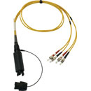 CANFORD FIBRECO connecteur de câble HMA Junior, 4 canaux, MM avec épanoui connecteurs fibre ST, 2m