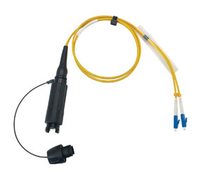 CANFORD FIBRECO connecteur de câble HMA Junior, 2 canaux, MM avec épanoui connecteurs fibre LC,500mm