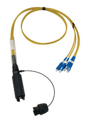 CANFORD FIBRECO connecteur de câble HMA Junior, 4 canaux, MM avec épanoui connecteurs fibre SC, 500mm