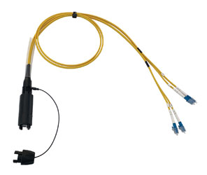 CANFORD FIBRECO connecteur de câble HMA Junior, 4 canaux, SM avec épanoui connecteurs fibre LC, 500mm