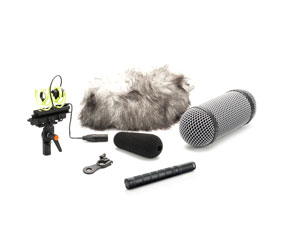 DPA 4017C-R MICRO canon, condensateur, supercardioïde, canon, compact, avec bonnette Rycote