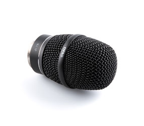 DPA 2028 CAPSULE MICROPHONE supercardioïde, avec adaptateur SL1, noir