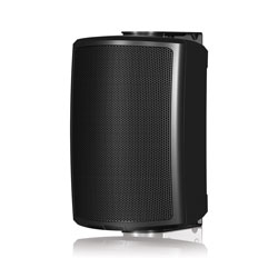 TANNOY AMS 5DC ENCEINTE 5 pouces, double concentrique, 50W, 70V/100V/16ohms, noir