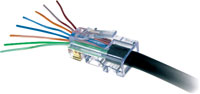 PLATINUM - OUTILS ET CONNECTEURS - RJ45